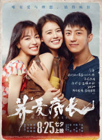 师父搞tv